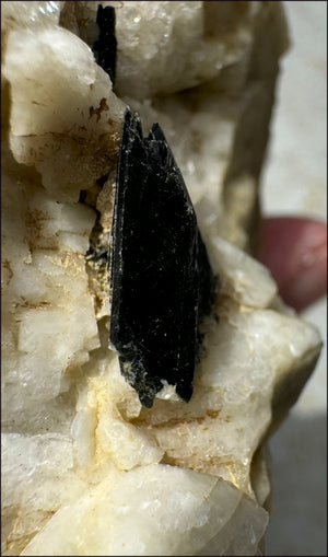 Aegirine Crystal Specimen on Microline Matrix - Grounding, Root Chakra