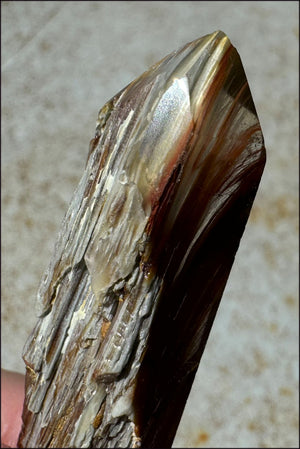 Angel Phantom Quartz Crystal Point - AKA Amphibole Quartz - Emotional balance