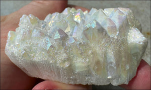 Angel Aura Quartz Crystal Cluster - Clean & Clear Aura