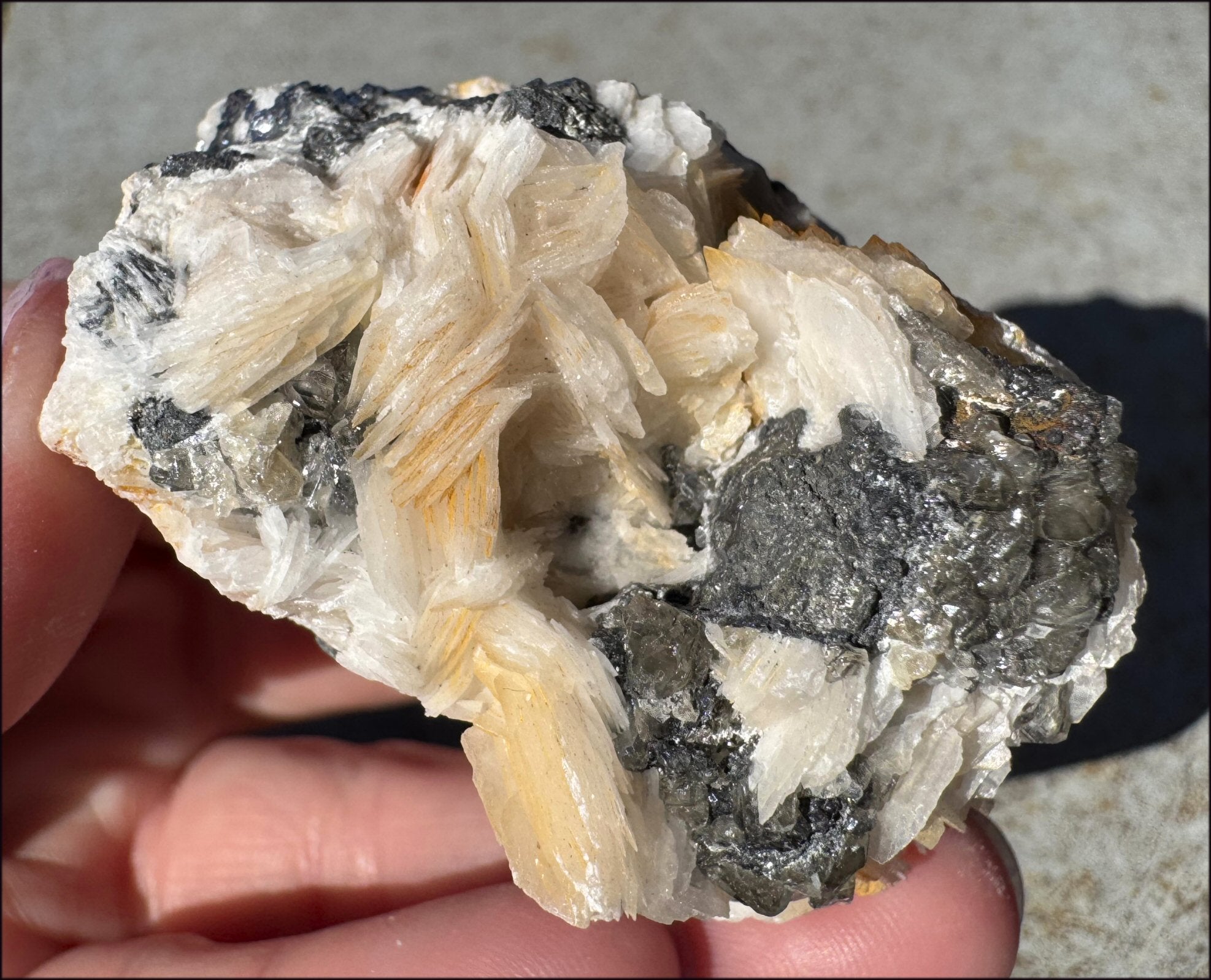 Moroccan Barite + Galena specimen - Beautiful "petal" formations!