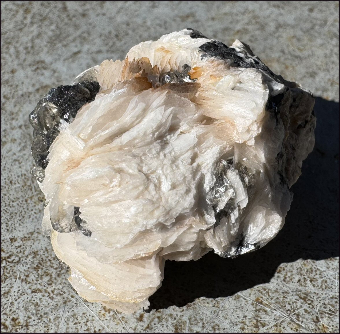 Moroccan Barite + Galena specimen - Beautiful "petal" formations!