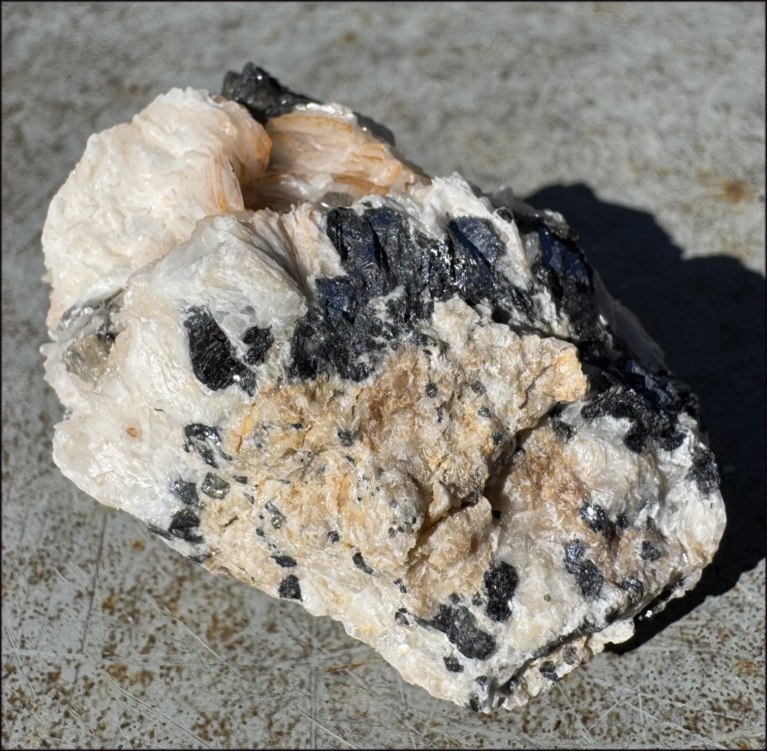 Moroccan Barite + Galena specimen - Beautiful "petal" formations!