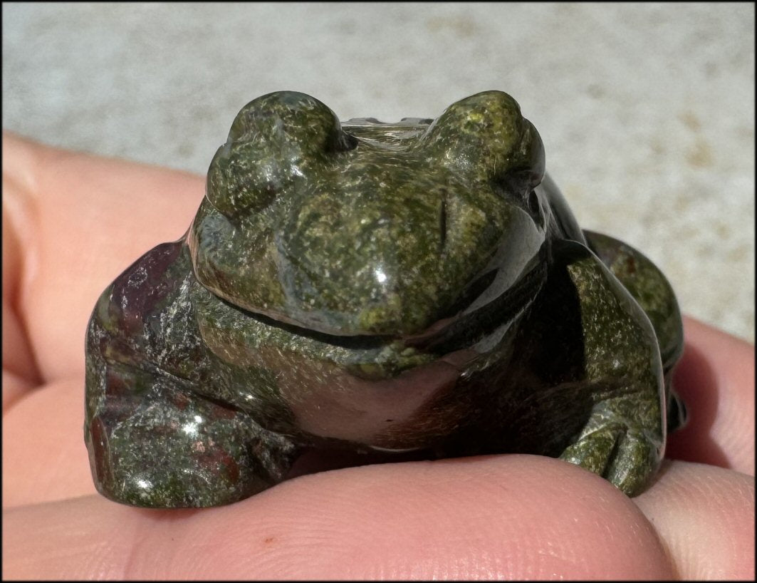 Dragon's Blood Jasper FROG Totem - with Synergy 4+ years