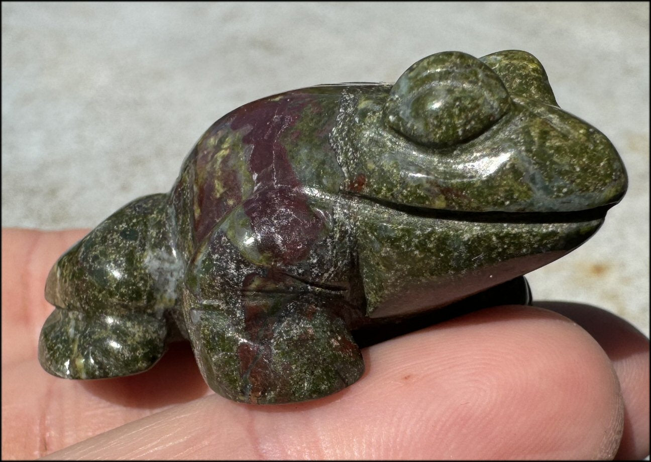 Dragon's Blood Jasper FROG Totem - with Synergy 4+ years