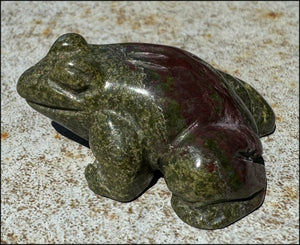 Dragon's Blood Jasper FROG Totem - with Synergy 4+ years