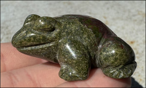 Dragon's Blood Jasper FROG Totem - with Synergy 4+ years