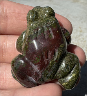 Dragon's Blood Jasper FROG Totem - with Synergy 4+ years