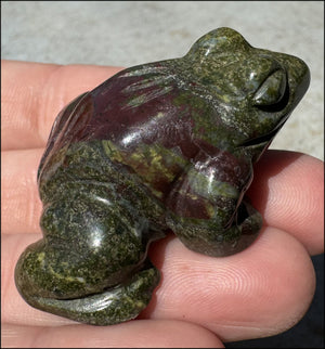 Dragon's Blood Jasper FROG Totem - with Synergy 4+ years