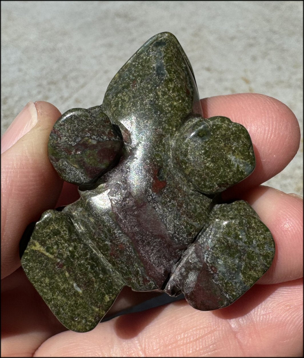 Dragon's Blood Jasper FROG Totem - with Synergy 4+ years