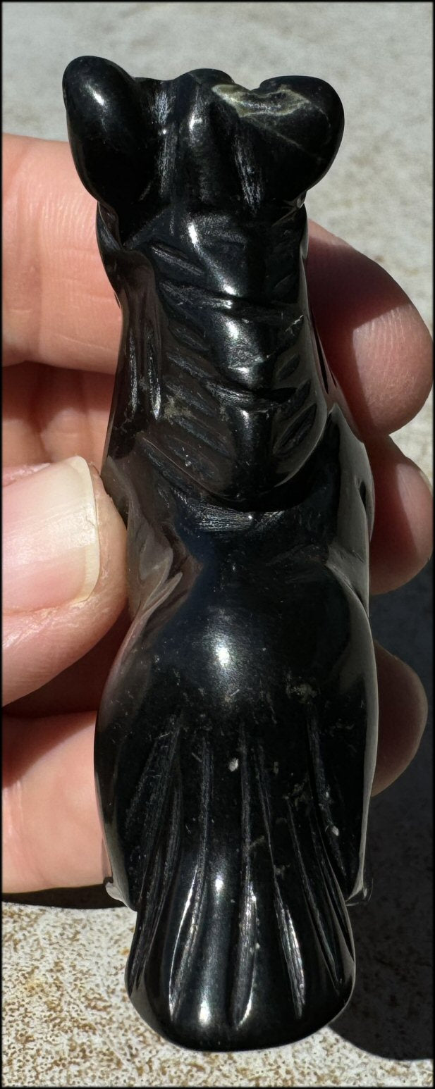 Black Marble HORSE Totem - Overcome Obstacles - with Synergy 7+ years