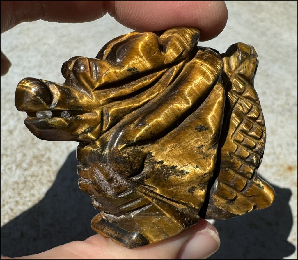 Golden Tiger Eye MEDIEVAL STYLE DRAGON Totem - with Synergy 7+ yrs