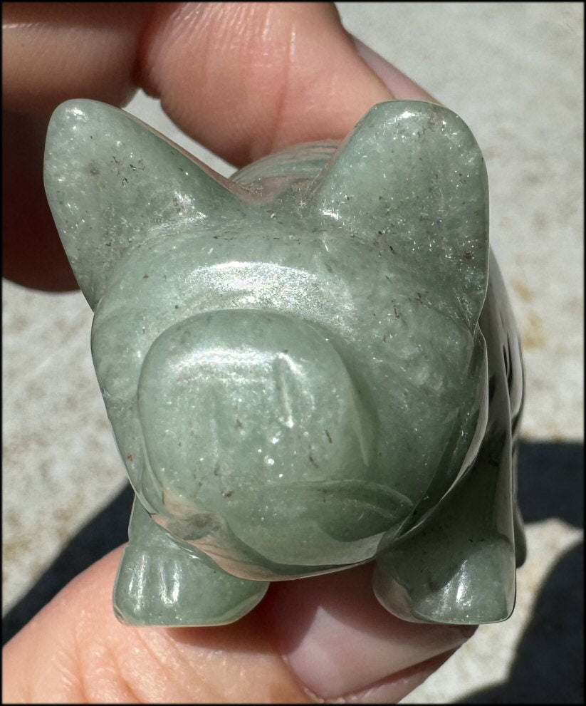 Green Aventurine PIG Totem - Get moving after being stuck!- with Synergy 8+ years