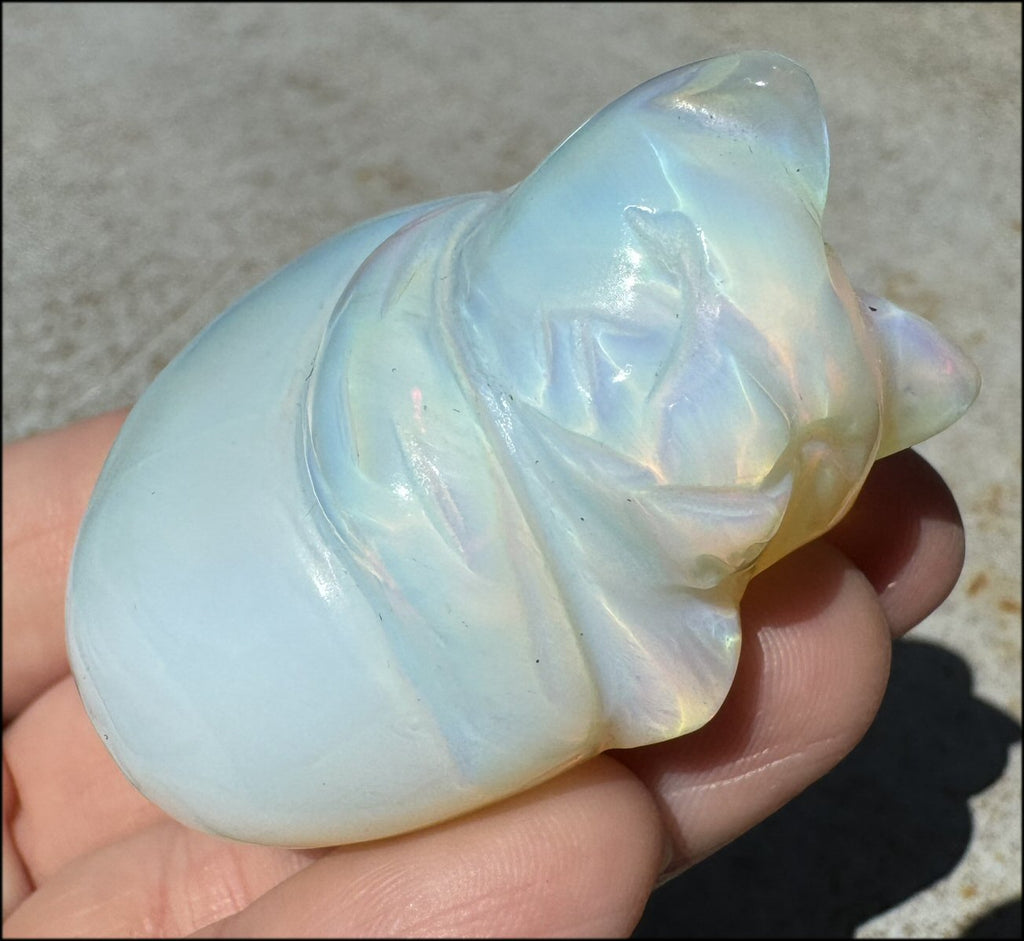 ~Super Cute~ Carved Opalite Sleeping Kitty Cat - with Synergy 8+ yrs