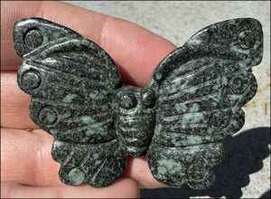 Green and Black Soapstone BUTTERFLY Totem - Joyful Change - with Synergy 7+ years