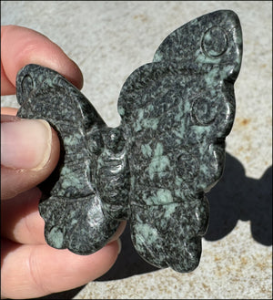 Green and Black Soapstone BUTTERFLY Totem - Joyful Change - with Synergy 7+ years