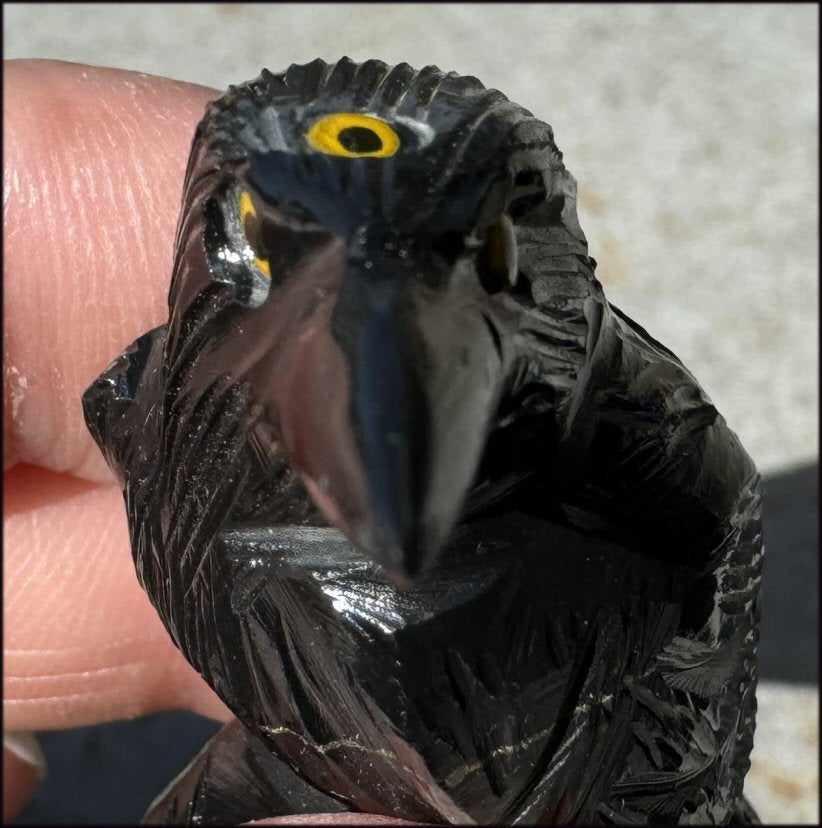 Small Onyx THREE EYED RAVEN Carving with Yellow Eyes