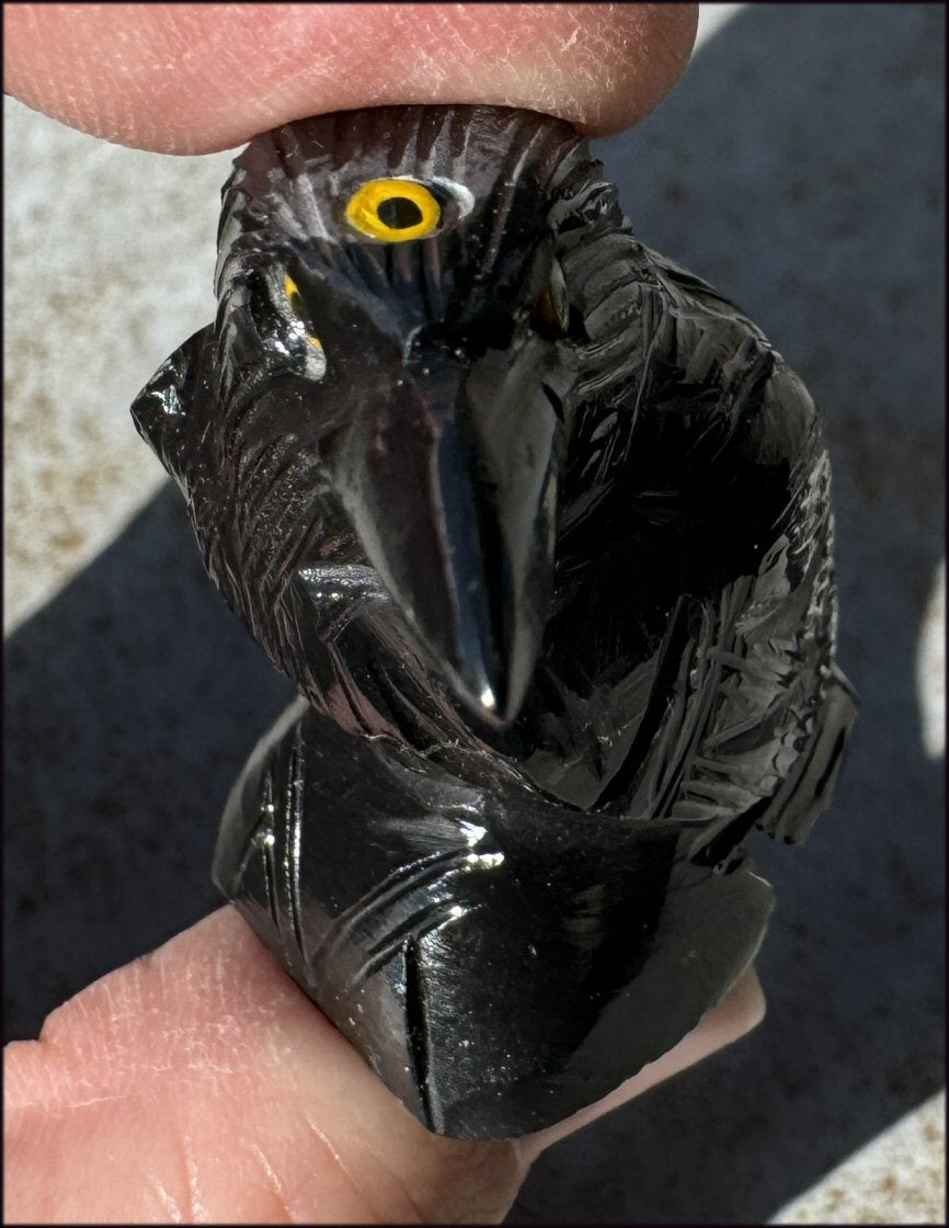 Small Onyx THREE EYED RAVEN Carving with Yellow Eyes