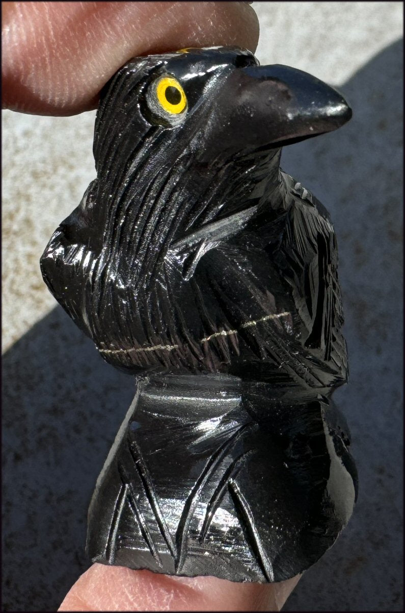 Small Onyx THREE EYED RAVEN Carving with Yellow Eyes