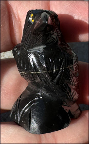 Small Onyx THREE EYED RAVEN Carving with Yellow Eyes