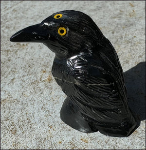 Small Onyx THREE EYED RAVEN Carving with Yellow Eyes