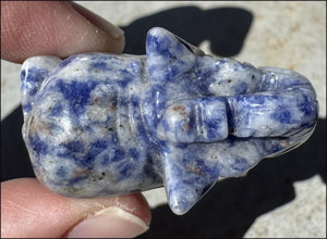 Sodalite LUCKY ELEPHANT Totem with some Fluorescence