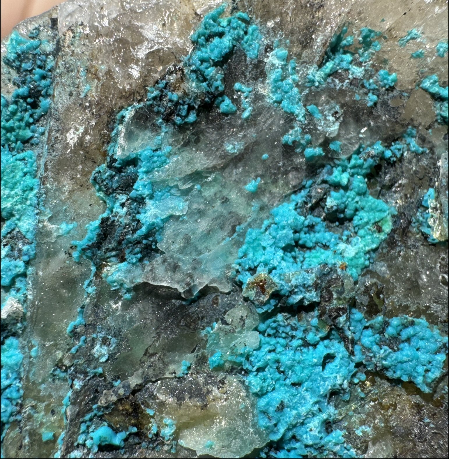 Chrysocolla in Quartz Crystal Specimen - Ease Anxiety, Great for meditation!