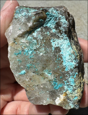 Chrysocolla in Quartz Crystal Specimen - Ease Anxiety, Great for meditation!