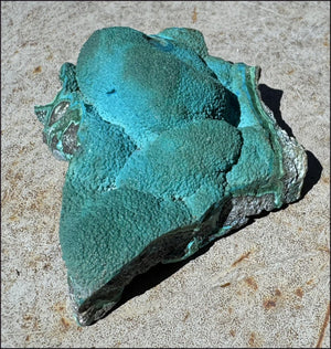 ~Fantastic~ Chrysocolla Specimen with Malachite - Harmony, Transformation