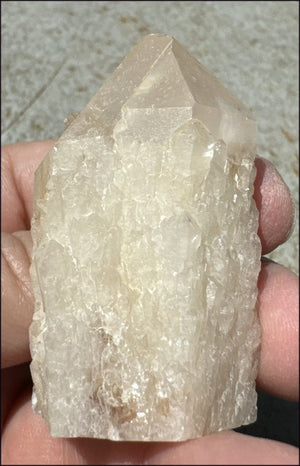 Madagascar FAIRY QUARTZ Crystal Point - AKA Candle Quartz - with Synergy 15+ yrs