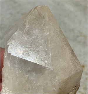 Madagascar FAIRY QUARTZ Crystal Point - AKA Candle Quartz - with Synergy 15+ yrs