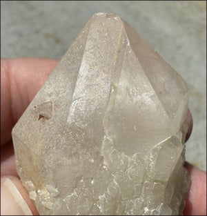 Madagascar FAIRY QUARTZ Crystal Point - AKA Candle Quartz - with Synergy 15+ yrs