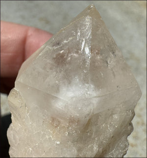 Madagascar FAIRY QUARTZ Crystal Point - AKA Candle Quartz - with Synergy 15+ yrs