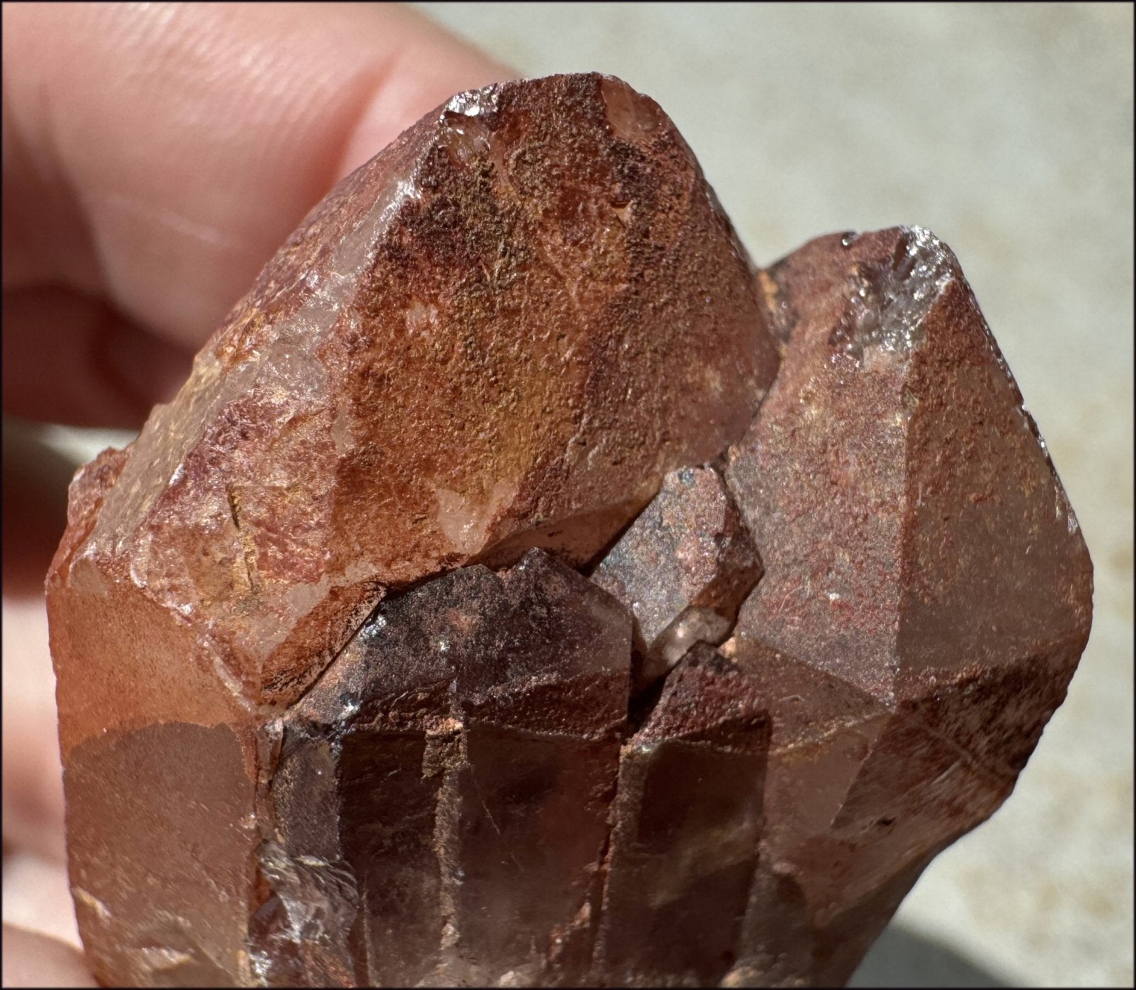 Tabular Ferruginous Quartz Cluster AKA Fire Quartz - Grounding, Divine Light