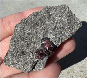 ~Shimmery~ Garnet Crystals in Mica Matrix - Vitality, Compassion