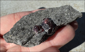 ~Shimmery~ Garnet Crystals in Mica Matrix - Vitality, Compassion