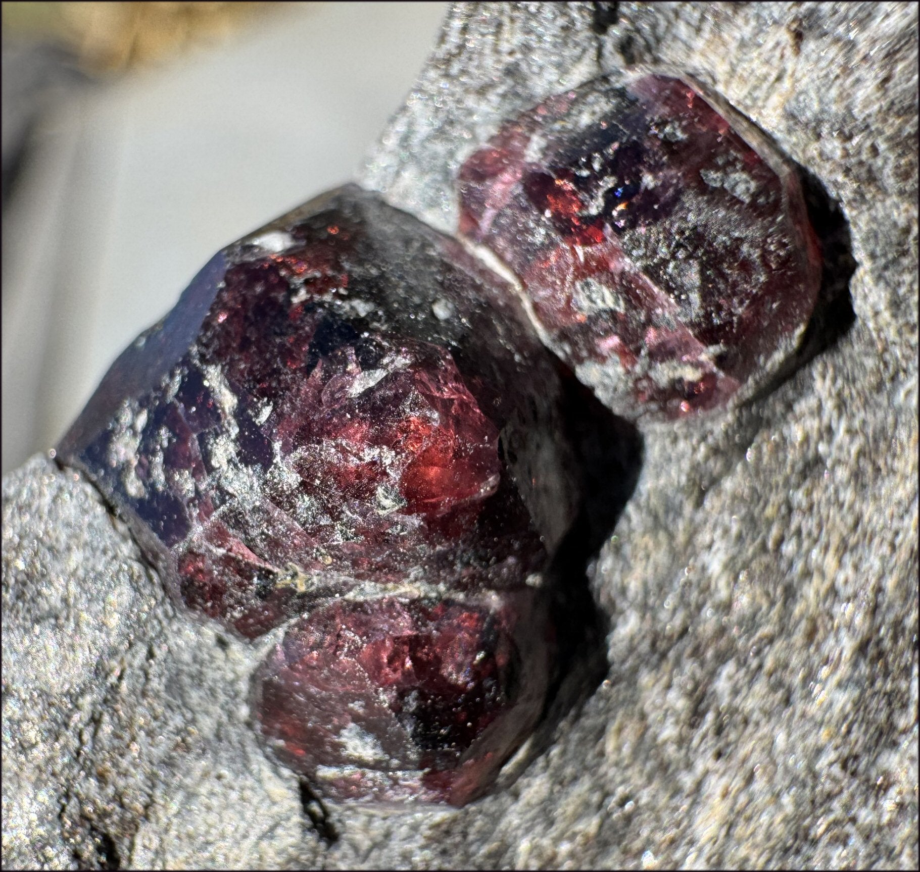 ~Shimmery~ Garnet Crystals in Mica Matrix - Vitality, Compassion