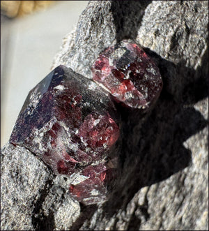 ~Shimmery~ Garnet Crystals in Mica Matrix - Vitality, Compassion