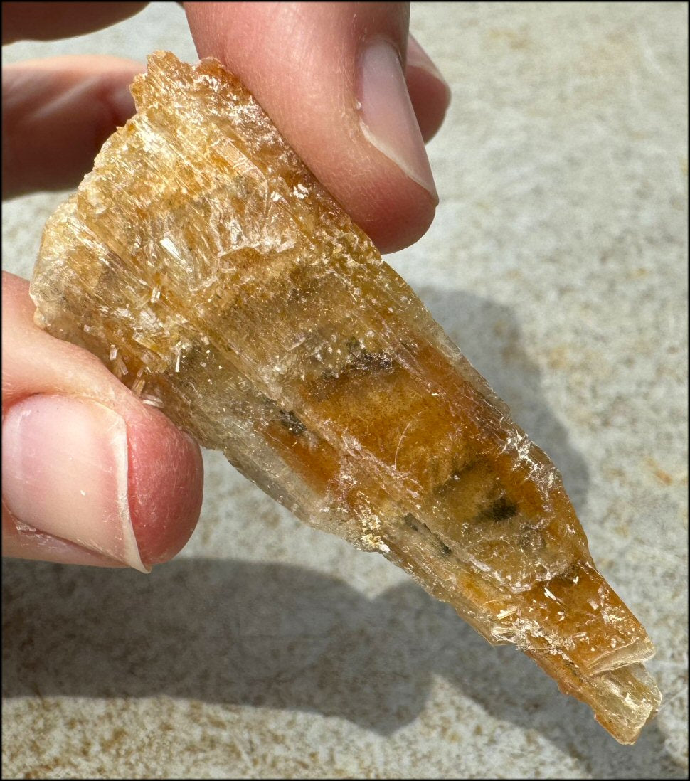 Golden Selenite Blade Specimen, From Swan Lake, Australia - Grounding!