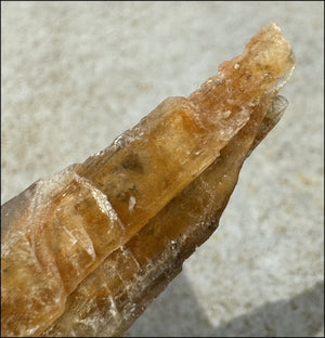 Golden Selenite Blade Specimen, From Swan Lake, Australia - Grounding!