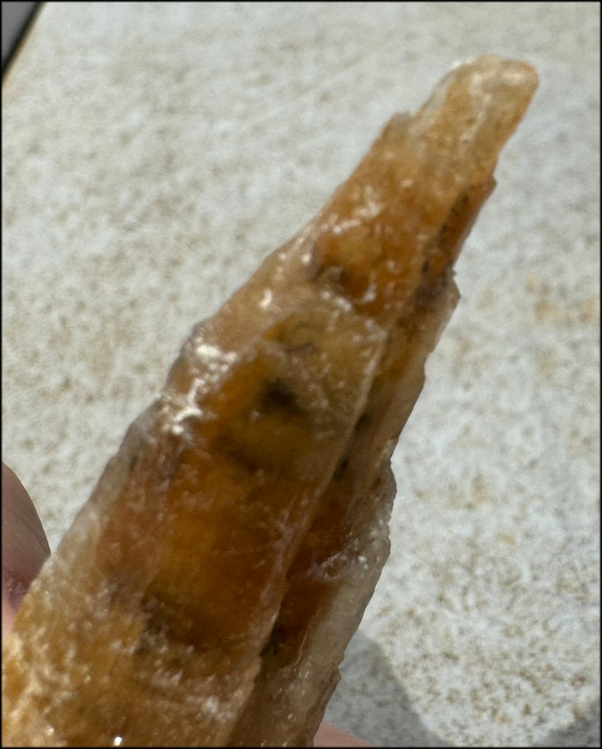 Golden Selenite Blade Specimen, From Swan Lake, Australia - Grounding!