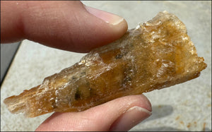 Golden Selenite Blade Specimen, From Swan Lake, Australia - Grounding!