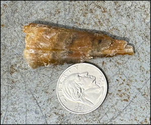 Golden Selenite Blade Specimen, From Swan Lake, Australia - Grounding!