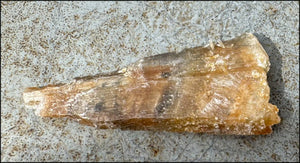 Golden Selenite Blade Specimen, From Swan Lake, Australia - Grounding!