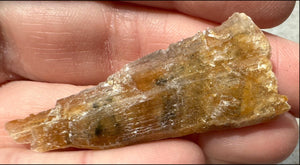 Golden Selenite Blade Specimen, From Swan Lake, Australia - Grounding!