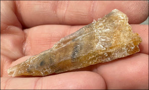 Golden Selenite Blade Specimen, From Swan Lake, Australia - Grounding!