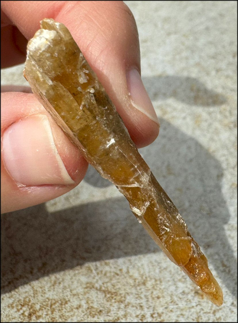 Golden Selenite Blade Specimen, From Swan Lake, Australia - Grounding!