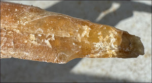 Golden Selenite Blade Specimen, From Swan Lake, Australia - Grounding!