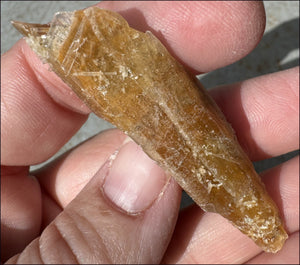 Golden Selenite Blade Specimen, From Swan Lake, Australia - Grounding!