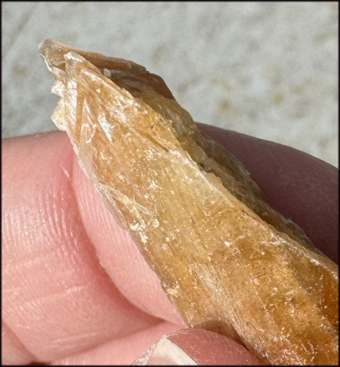 Golden Selenite Blade Specimen, From Swan Lake, Australia - Grounding!