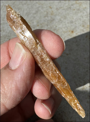 Golden Selenite Blade Specimen, From Swan Lake, Australia - Grounding!